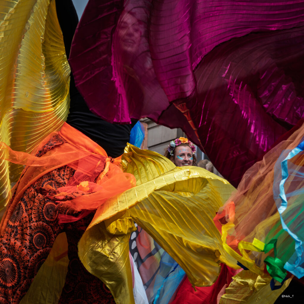 Highly Commended - Nick Tippey